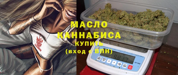 СК Алексин