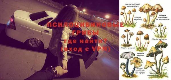 Альфа ПВП Алексеевка
