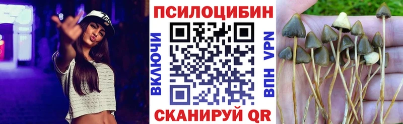 Купить закладки  Светлоград  Галлюциногенные грибы прущие грибы 