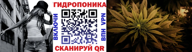 Купить закладки  Светлоград  Марихуана OG Kush 